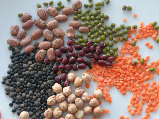 Beans and Legumes