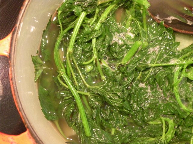 Cooking Nettles
