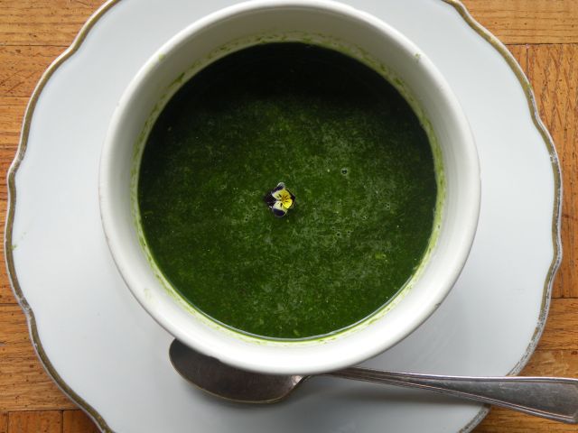 nettle soup